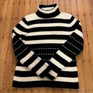 Striped turtle neck cotton blend sweater